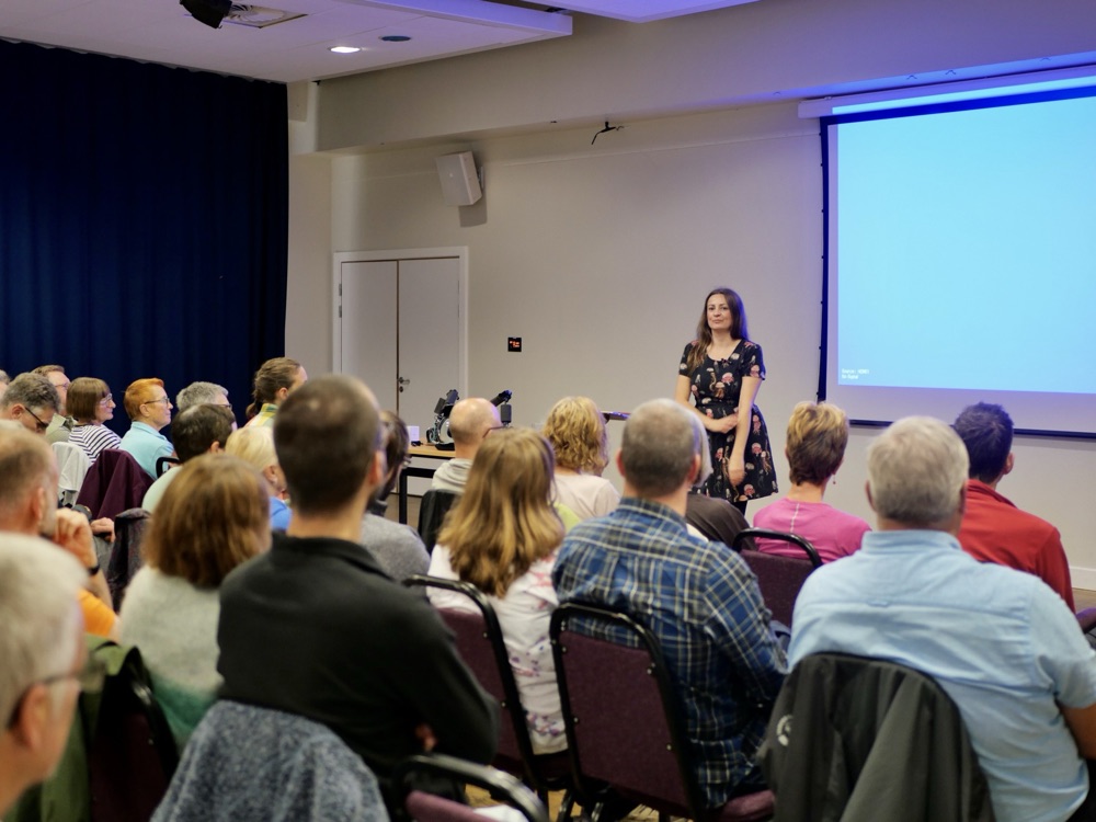 Talks & lectures