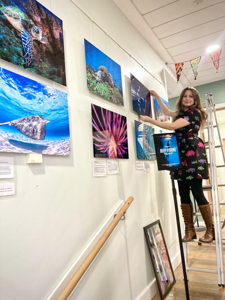 Exhibitions