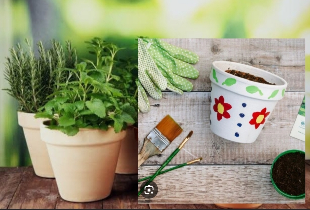 HOME ED COMMUNITY: Planters, Painters and Growing Things