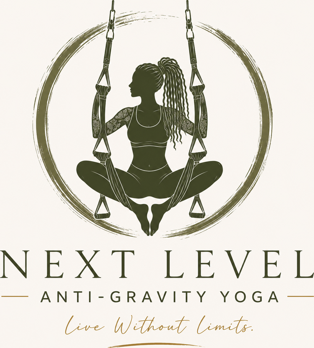 Anti-Gravity Yoga Trapeze Workshop