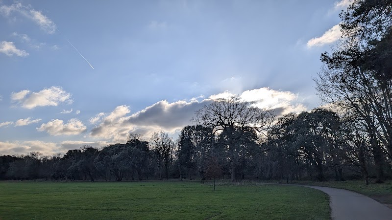 Blackweir Fields, Cardiff
